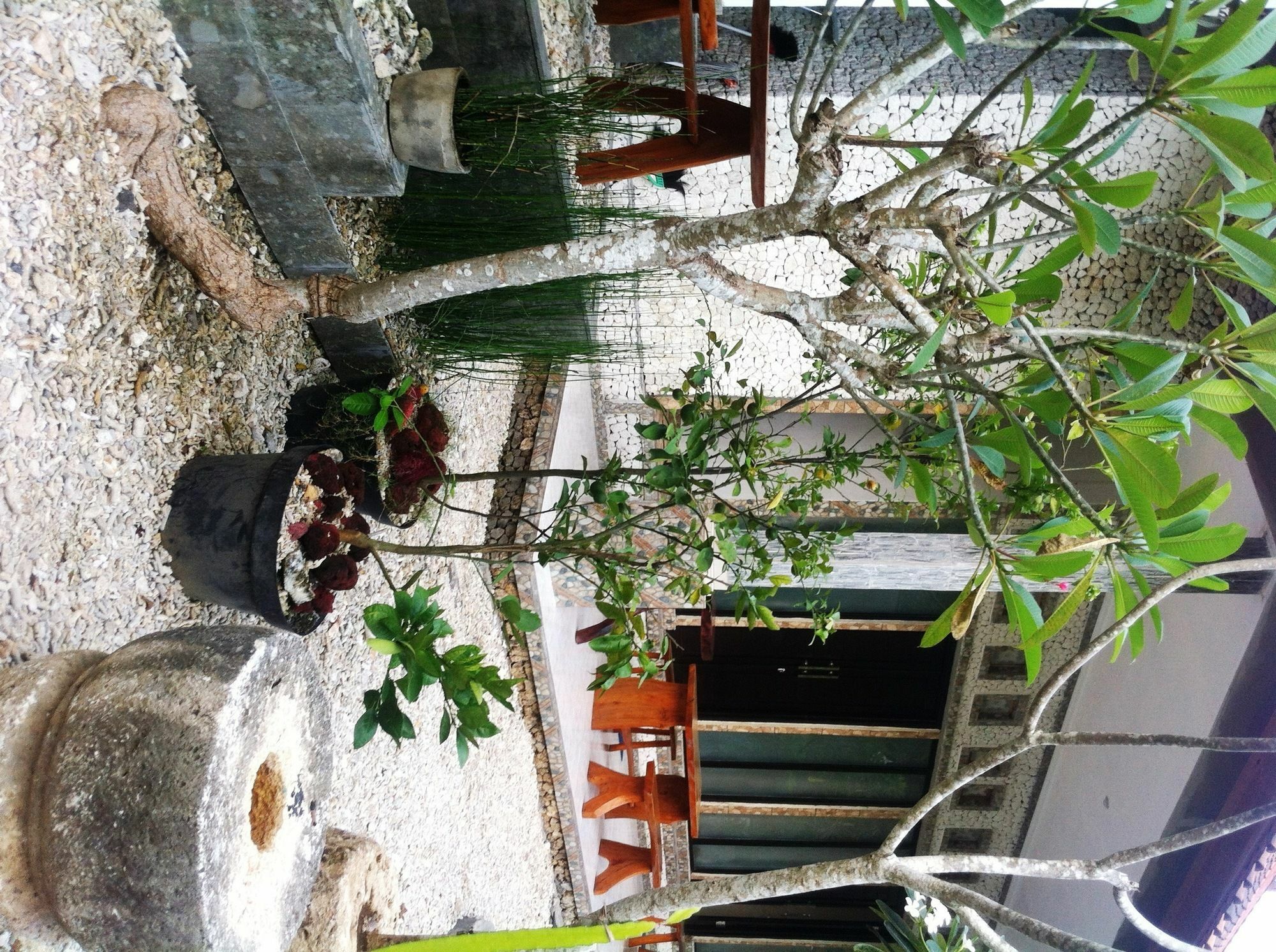 Villa Green House Toyapakeh Exterior foto